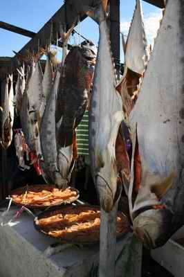 Salted fish drying in the sun