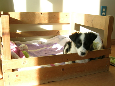 Misha 2005 Misha 2005