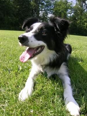 Misha 2007 Misha 2007