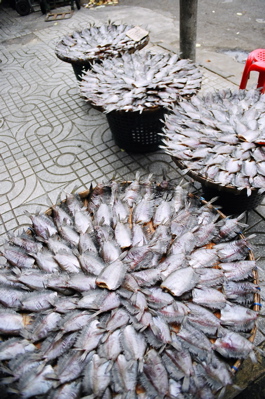 Fish across from Wat Pho
