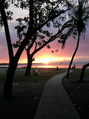 Harbour sunset Harbour sunset